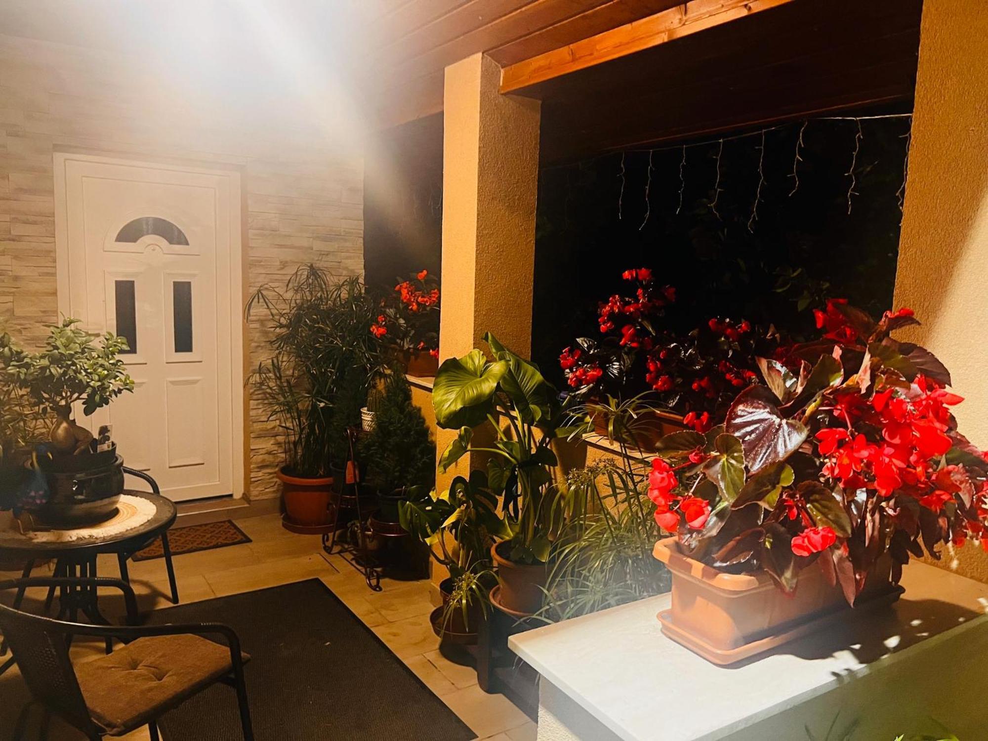 Villa Arany Vendeghaz Szarvas Exterior foto